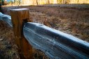 Frosted wood fence